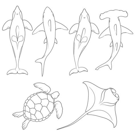 Beachy Aesthetic Drawings, Line Art Ocean Animals, Overhead Shark Tattoo, Shark Drawing From Above, Stingray Line Art, Cute Sea Animal Tattoos, Beach Animals Drawing, Simple Stingray Drawing, Simple Ocean Animal Tattoo