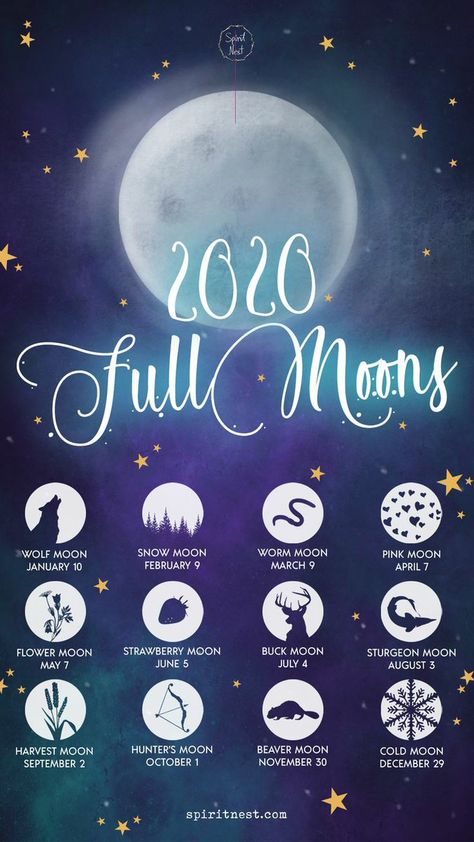 Moons Of The Year, Full Moon Calendar, Sturgeon Moon, Cold Moon, Moon Magick, Moon Spells, Moon Rituals, New Moon Rituals, Full Moon Ritual