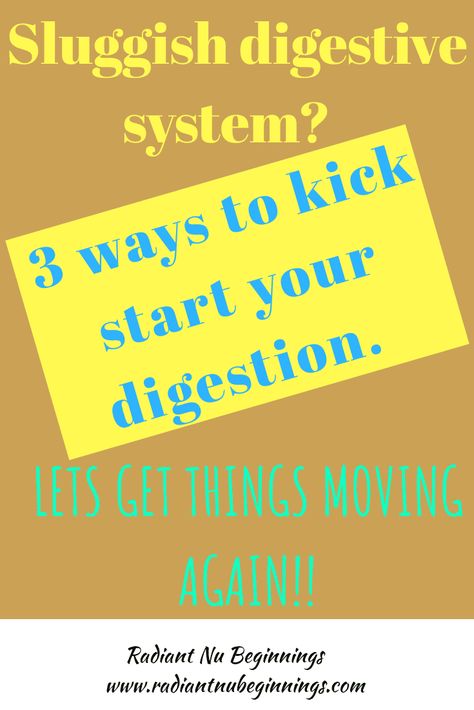 Sluggish digestion?  Here are 3 ways you can improve your digestion and the reason why your digestion might be working slower than it should. CLICK HERE TO READ MORE...... Slow Digestion Remedy, Nightshade Foods, Different Types Of Diets, Muscle Gain Meal Plan, Artery Cleanse, Help With Digestion, Good Digestion, Nutritional Therapist, Gut Health Recipes