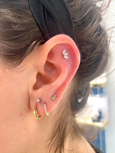 Ear style spotlight ✨

Book your ear styling and piercing appointment. Flat And Helix Piercing, Gold Ear Curation, Ear Styling, Ear Curation, Buddha Jewelry, Ear Style, Helix Piercing, Helix, Jewelry Inspiration