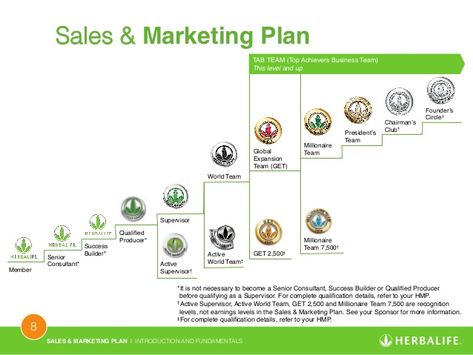 Herbalife Pins Levels, Herbalife Marketing Plan, Herbalife Marketing, Herbalife Business Opportunity, Marketing Planning Calendar, Herbalife Plan, Marketing Plan Outline, Herbalife Pins, Herbalife Nutrition Facts