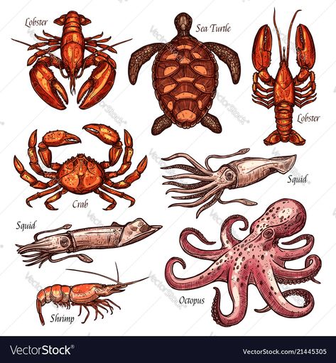 Lobster Clipart, Animals Sketches, Isolated Icons, Crab Cartoon, Lobster Stock, Button People, Food Banner, Icons Website, People Icon