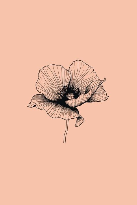 L'article du dimanche #141 — My Name Is Georges Poppy Illustration, Illustration Botanical, Poppies Tattoo, Soyut Sanat Tabloları, Floral Drawing, Flower Illustration, Floral Illustrations, Line Art Drawings, Flower Tattoos