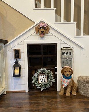 Home | Daily Mail Online Under Stairs Dog House, Dog Nook, Luxury Dog House, Luxury Dog Kennels, Luminaria Diy, Dog Room Decor, تحت الدرج, Dog Bedroom, Indoor Dog House