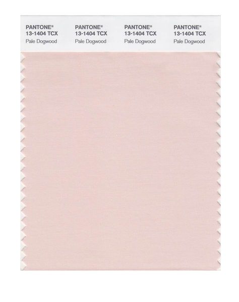 Pale Dogwood pantone Pale Dogwood Pantone, Pale Dogwood, Nude Color Palette, Historic Colours, Glamour Home, Pink Interior, Pink Wall Art, Mood Board Fashion, Pink Colour