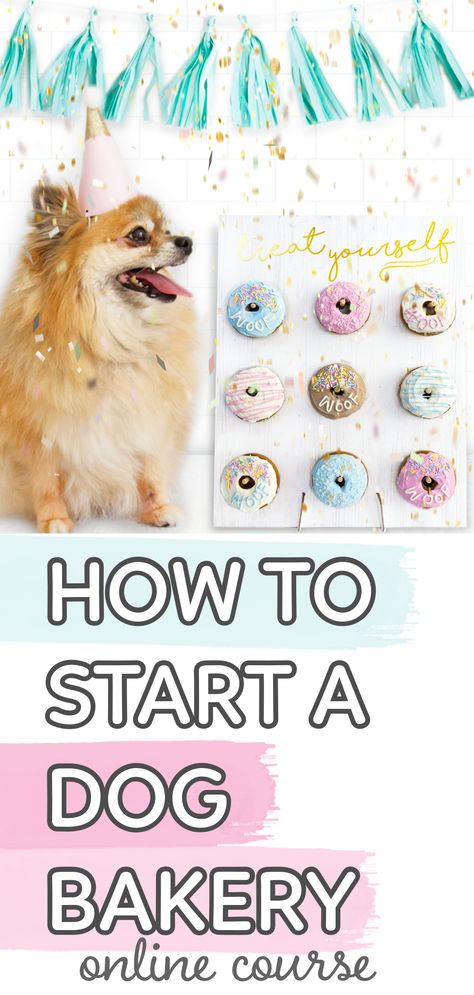 Dog Treat Business Names, Dog Business Ideas, Dog Boutique Ideas, Dog Treats Homemade Easy, Doggy Treats, Dog Biscuit Recipes, Healthy Dog Treats Homemade, Doggie Treats, Spoiled Dogs