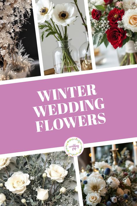 Winter wedding flowers collage with anemones, roses, and greenery on display. December Bridal Bouquet, Winter Wedding Florals, Winter Flower Arrangements, Reception Table Centerpieces, Winter Floral Arrangements, Winter Arrangements, Colorful Wedding Flowers, Winter Wedding Bouquet, Winter Bouquet