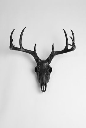 Black Faux Deer Skull | Stag Skeleton | Black Resin Animal Skull Deer Skull Wall Mount, Deer Skull Decor, Antler Mounts, Deer Skull Mount, Animal Skull Decor, Black Antlers, Faux Deer Head, White Faux Taxidermy, Antlers Decor