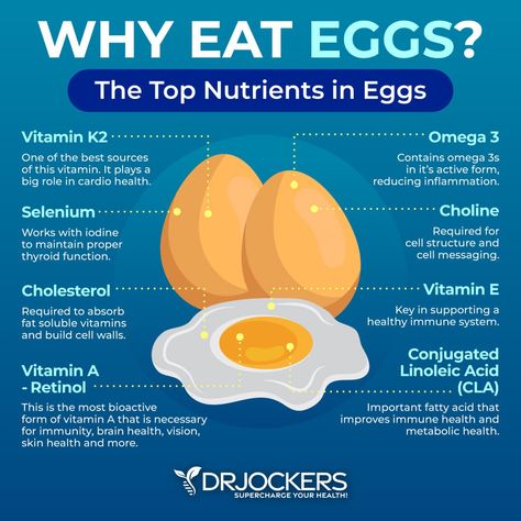 Top 7 Foods to Burn Belly Fat - DrJockers.com Insta New Post, Eggs Health Benefits, Spice Benefits, Foods For Liver Health, Benefits Of Eggs, Mineral Rich Foods, Aip Diet Recipes, Beautiful Bedroom Furniture, Health Benefits Of Eggs