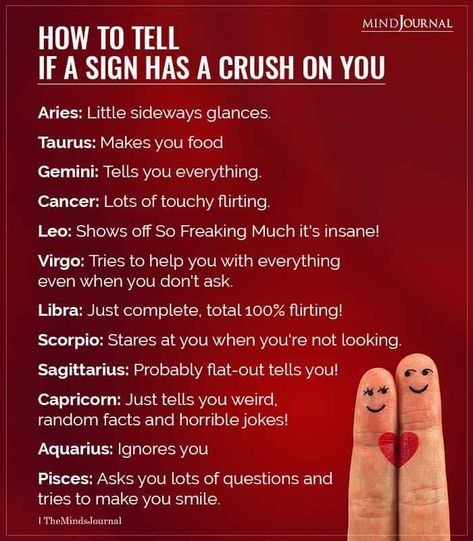 Scorpio Crush Facts, Zodiac Signs In Relationships, Pisces Crushing, Libra Crush Facts, When Sagittarius Has A Crush, Gemini Crushing, Scorpio Crushing, Aries When They Have A Crush, Zodiac Signs When They Have A Crush