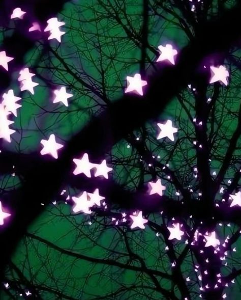 🐇🪽🏹⭐️🦇🦴 Green Color Combo, Aesthetic Color, Star Tree, Mazzy Star, Season Of The Witch, Ethereal Art, Purple And Green, The Night Sky, Aesthetic Images