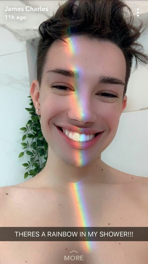 James Charles 💯 Celebrity Updates, James Charles, Diy Canvas, Canvas Art, Collage, Celebrities, Canvas, Funny, Pins