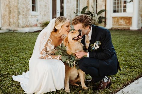 Wedding Couple With Dog, Wedding Golden Retriever, Golden Retriever Wedding Ideas, Couple With Golden Retriever, Golden Retriever Flower Girl, Wedding Photos With Dogs, Dog Wedding Pictures, Golden Retriever Wedding, Dog Flower Girl