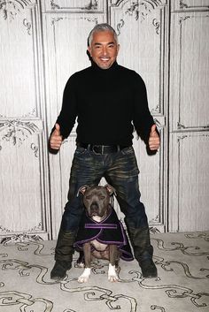 Dog Whisperer Cesar Millan, Easiest Dogs To Train, Dog Whisperer, Cesar Millan, Cairn Terriers, Game Mode, Aggressive Dog, Dog Info, Dog Care Tips