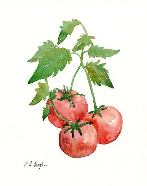 Tomato Art, Tomato Plant, Red Tomato, Watercolor Red, Perfect Kitchen, Plant Painting, Kitchen Art, Kitchen Wall, Botanical Art