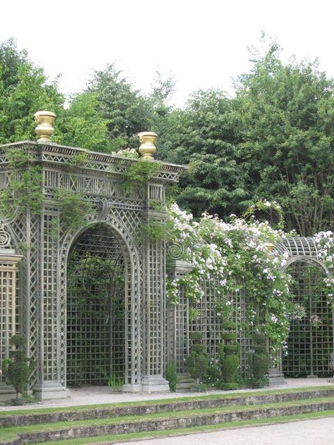 Courtyard Trellis, Iron Pergola, Compound Wall Design, Lattice Trellis, Trellis Ideas, Architecture Classic, Wedding Decor Style, Patio Gazebo, Garden Pictures