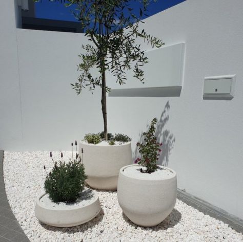 Cactus And Stone Landscape, Garden Ideas White Stones, Stone Pots For Plants, White Stone Garden Ideas, White Stones Garden Ideas, White Pebbles Landscape, Pots On Gravel, Garden Pebbles Landscaping, White Stone Landscaping