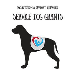 Dog Organization, Parental Consent, Service Dog Training, Increase Confidence, Patient Education, New Goals, Support Network, Service Dog, Service Dogs