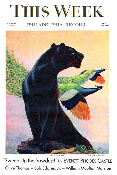 Art Deco Cat, Magazine Cover Ideas, Art Deco Graphics, Art Deco Ideas, Panther Art, Art Deco Illustration, Art Deco Print, Peacock Art, Poster Illustration