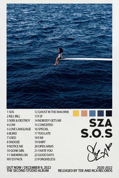 Sza Posters Aesthetic, Album Cover Wall Art, Sza Album Cover Painting, Album Cover Wall Decor Pictures, Canvas Album Cover Painting, Sza Sos Aesthetic, Sza Album Cover Poster, Sza Album Cover Wallpaper, Sos Album Poster