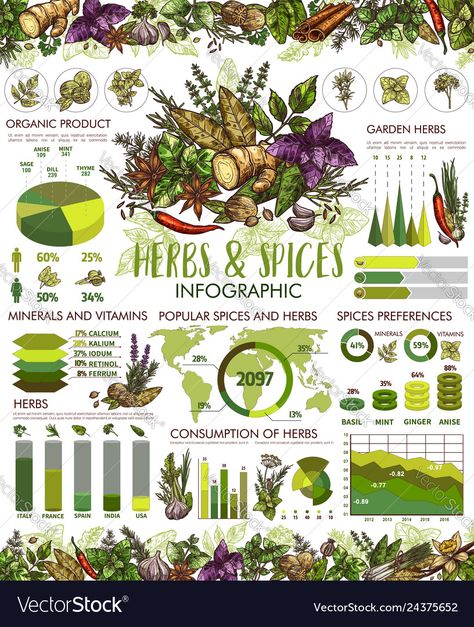 Gardening Infographic, Vanilla And Lavender, Anise Star, Garlic And Ginger, Spices And Herbs, Cinnamon Vanilla, Herbs And Spices, Chili Pepper, Parsley