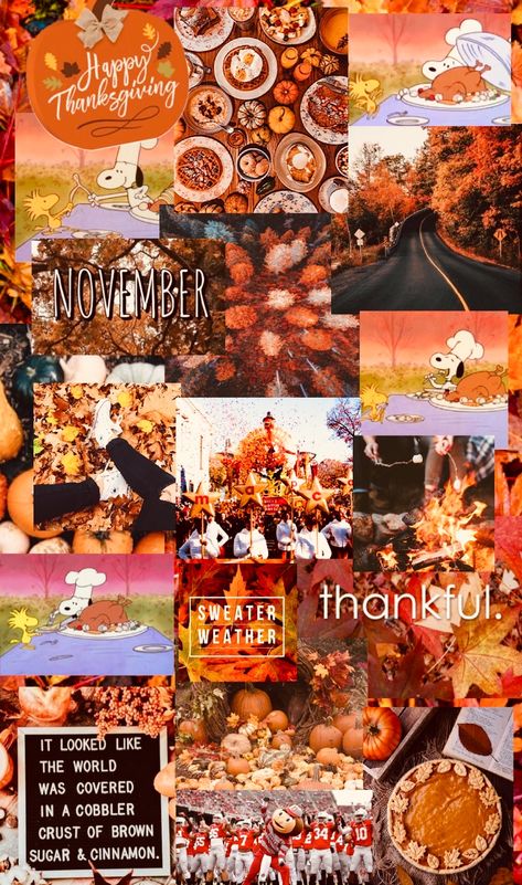 Thanksgiving And Christmas Wallpaper, Thanksgiving Aesthetic Wallpaper Collage, Pretty Thanksgiving Wallpapers, Thanksgiving Aesthetic Collage, Thanksgiving Athstetic, Wallpapers For Thanksgiving, Thanksgiven Wallpaper, Cute Wallpapers Thanksgiving, November Asethic Wallpaper