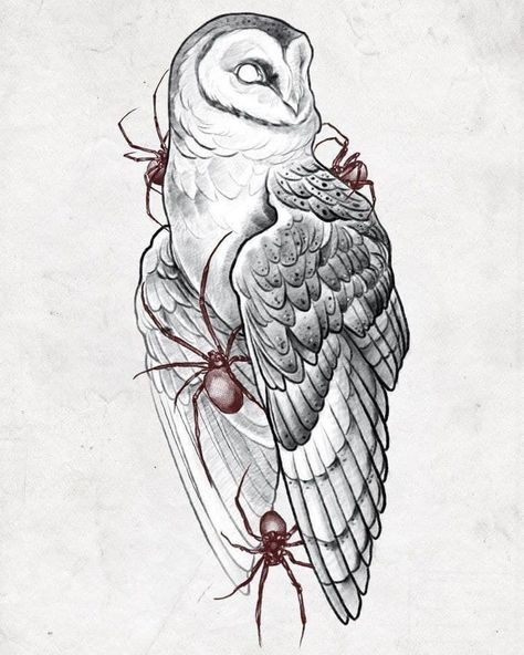 Two Owls Drawing, Scary Owl Tattoo, Owl Skull Drawing, Owl And Crow Tattoo, Owl Shoulder Tattoos For Women, Owl And Raven Tattoo, Raccoon Skull Tattoo, Owl Design Drawing, Mandela Sketches