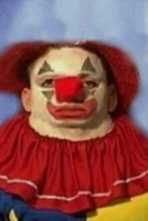 Clown Meme, Clown Images, Clown Pics, Clowns Funny, Clown Faces, Gif Lucu, Clowning Around, A Clown, Funny Profile