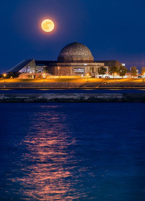 Astronomy Museum, Adler Planetarium Chicago, Travel Chicago, Adler Planetarium, Chicago Buildings, Chicago Vintage, Chicago Museums, Summer Sunrise, Chicago Apartment