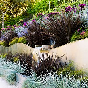 24 surprising plant combos | Making waves | Sunset.com Low Water Plants, Blue Fescue, Living Pool, Hillside Garden, Drought Tolerant Landscape, Landscaping Inspiration, Native Garden, Plants And Flowers, Landscaping With Rocks