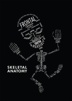 Aaron Kuehn - skeletal typography. Skeletal Anatomy, Information Poster, Med Student, Med School, Anatomy And Physiology, Skeletal, Radiology, Anatomy Art, Human Anatomy