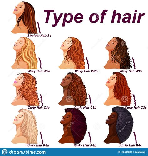 Hair Type Chart, Hairstyle Names, Curly Hair Types, Types Of Hair, Different Hair Types, Athletic Hairstyles, Curly Bob Hairstyles, Different Hairstyles, Hair Types