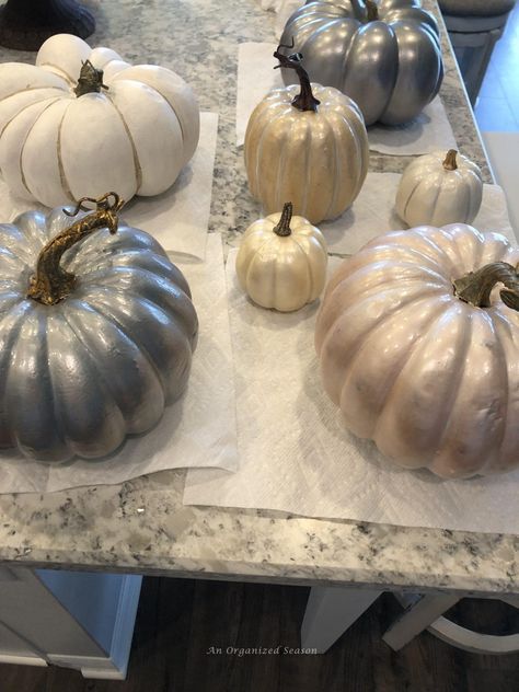 How to Apply Pearlescent Paint on Pumpkins - An Organized Season Paint White Pumpkin, Spray Painted Pumpkins, Paint On Pumpkins, Rustic Fall Porch, Pearlescent Paint, Spray Paint Plastic, Craft Pumpkins, Paint Stirrers, Silver Pumpkins