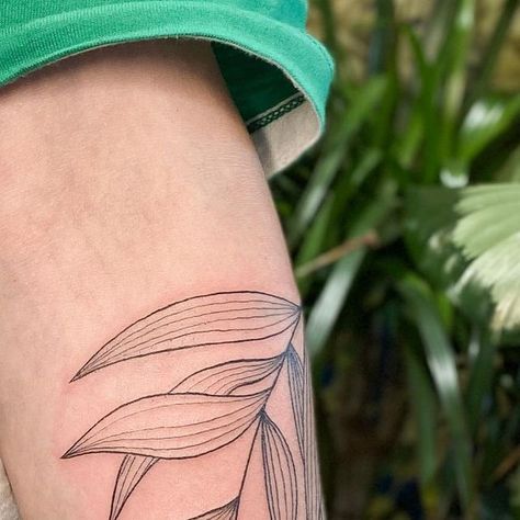 Rachel🌿🖋🍂 on Instagram: "A simple wrapped leafy branch of willow leaves for the lovely Melanie! Would love to do more big botanical wraps hehe 🌿 #tattoo #botanicaltattoo #leaftattoo #planttattoo #branchtattoo #willowtattoo #linework #lineworktattoo #newcastletattoo #tattooapprentice #tattooartist #blackwork #blackworktattoo #fineline #finelinetattoo" Willow Leaf Tattoo, Willow Leaves, Leaf Tattoo, Branch Tattoo, Willow Leaf, Plant Tattoo, Tattoo Apprentice, Botanical Tattoo, Line Work Tattoo