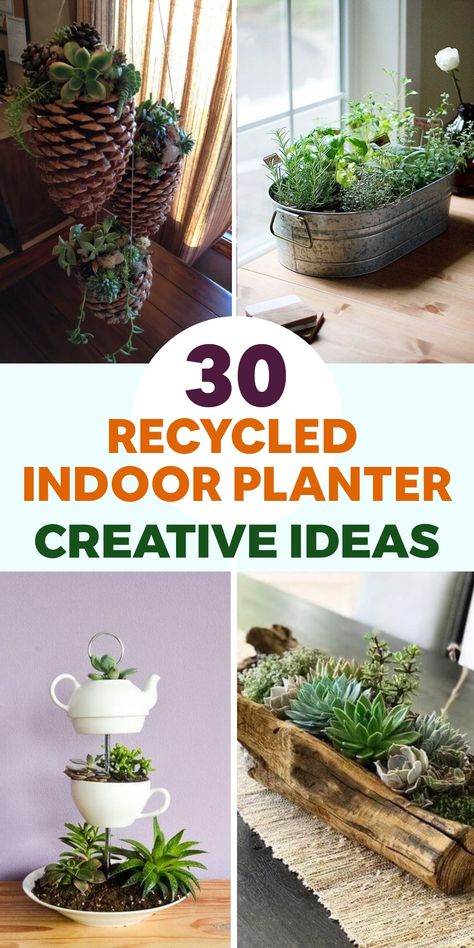 Explore sustainable living by incorporating greenery into your indoor space with these innovative upcycled indoor planter concepts. Repurpose unused mason jars or tin cans by sanitizing them and layering rocks at the bottom for proper drainage. Fill them with enriched soil and cultivate your preferred herbs or petite houseplants. To add a distinctive touch, transform old teacups or coffee mugs into planters by creating drainage holes at the base. Upcycled Planters Indoor, Diy Planters Indoor Creative, Old Mason Jars, Repurposed Planter, Mason Jar Herb Garden, Plastic Bottle Planter, Upcycled Planter, Tin Planters, Grow Herbs