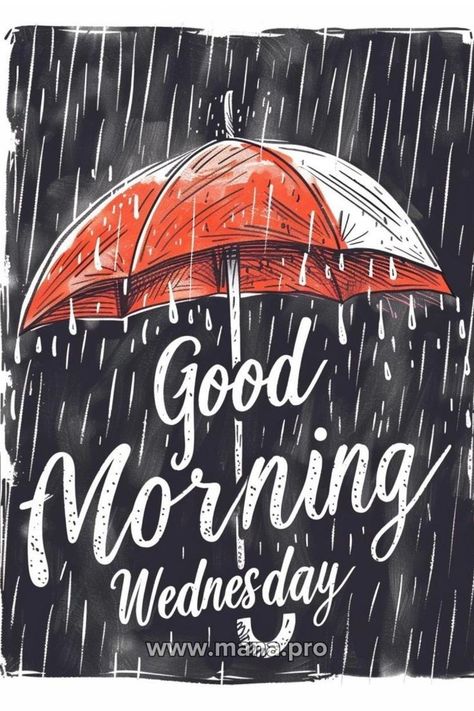 Wednesday Morning Greetings Funny, Good Morning Happy Wednesday Images, Good Morning Wednesday Blessings, Wednesday Morning Images, Rainy Wednesday, Rainy Good Morning, Good Morning Happy Wednesday, Wednesday Morning Greetings, Wednesday Images