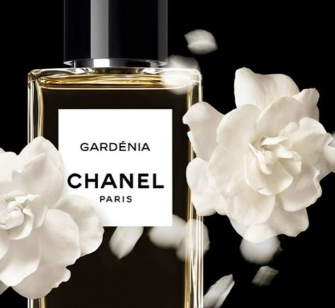 One of the best Gardenia fragraned perfumes ever made :) Chanel Gardenia Chanel Gardenia, Chanel Fragrance, Organic Perfume, Parfum Chanel, Mademoiselle Chanel, Chanel Perfume, Chanel Collection, 자수 디자인, Luxury Perfume