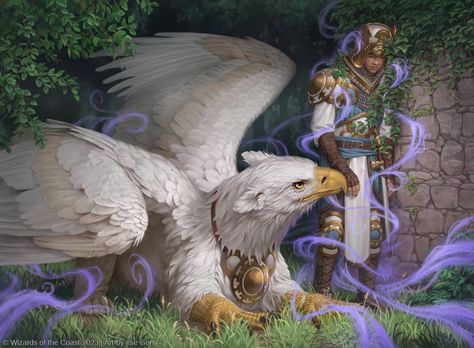 Wilds Of Eldraine, Griffins Art, Eldraine Art, Griffin Mythology, Dnd Squad, Griffin Rider, Griffin Drawing, Horse Wings, Griffin Mythical