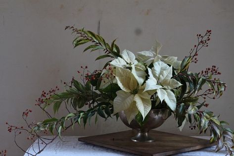 DIY Poinsettia: A Common Christmas Plant Goes Luxe Poinsettia Centerpiece, Poinsettia Decor, Holiday Bouquet, Flower Pot Design, Christmas Plants, Exotic Holiday, Decoration Originale, Pot Designs, Flower Tops