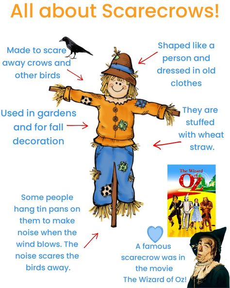 Scarecrow Science Preschool, Scarecrows Activities For Preschool, Scarecrow Science Activities, Scarecrow Dramatic Play Preschool, Scarecrow Bible Lesson, Scarecrow Lesson Plans For Toddlers, Scarecrow For Preschool, Scarecrow Stem Activity, Preschool Scarecrow Theme