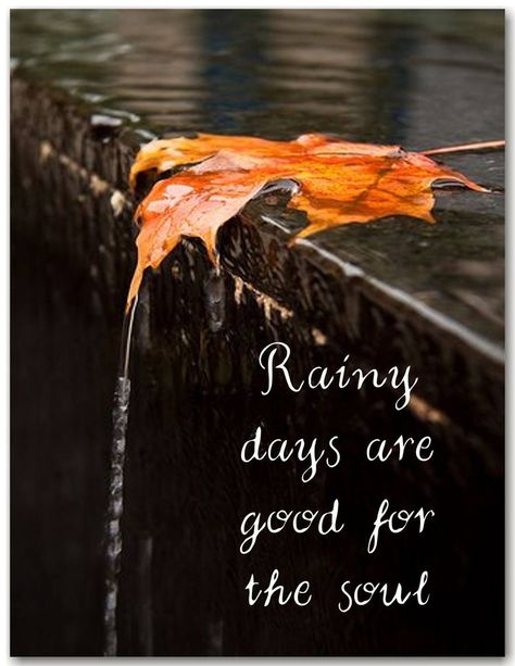 Rainy Autumn Day, Rainy Autumn, I Hope You Know, Autumn Day, Rainy Days, Rainy Day, Give It To Me, Good Things