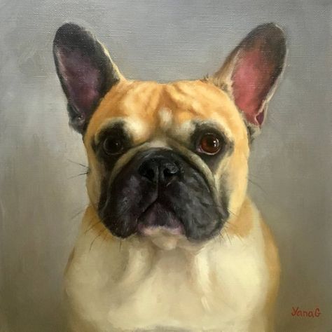 French Portrait, Rabbit Artwork, Cat Portrait Painting, Dog Portraits Painting, French Bulldog Art, Bulldog French, Puppy Drawing, Bulldog Art, Custom Dog Portraits