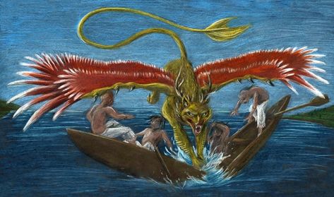 Piasa Bird, Cryptid Art, Native American Mythology, Dragon Anatomy, Asian Dragon, Mythological Creatures, Animals Artwork, Book Dragon, Folk Tales