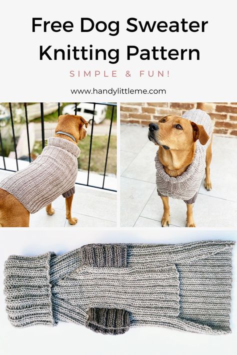 Dog Jumper Knitting Pattern, Doggie Sweaters, Big Dog Sweaters, Chunky Dog, Knitting Patterns For Dogs, Dog Knitting, Knitted Dog Sweater, Knitted Stitches, Knitted Dog Sweater Pattern