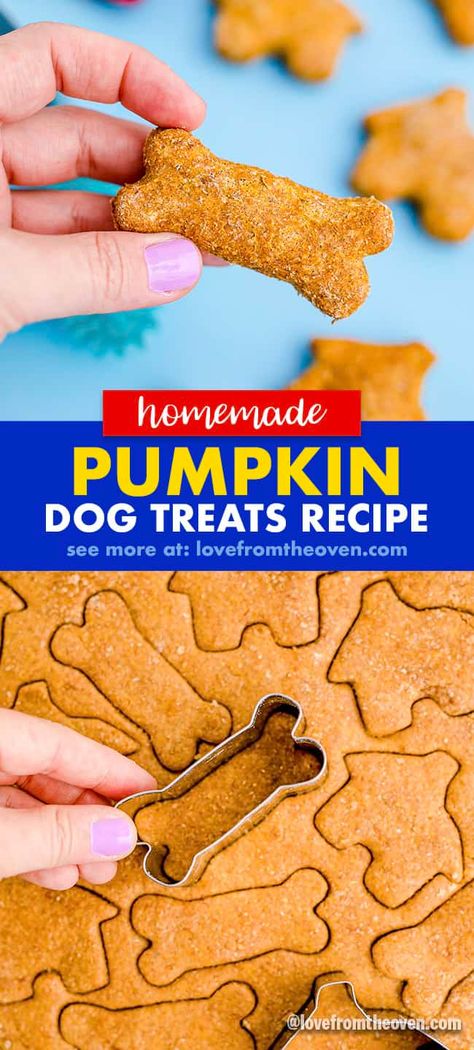 Easy Pumpkin Dog Treats • Love From The Oven Dog Biscuits Homemade Pumpkin, Pumpkin Pie Dog Treats, Pumpkin Dog Treats Easy, Homemade Pumpkin Dog Treats, Pumpkin And Peanut Butter, Dog Treats Homemade Pumpkin, Paw Crochet, Dog Cookie Recipes, The Human Skeleton