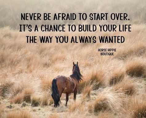 Rodeo Quotes Inspirational, Horses Quotes Inspirational, Cowgirl Quotes Inspirational, Cute Horse Quotes, Rodeo Quotes, Equine Quotes, Cowgirl Quote, Horse Quotes Funny, Inspirational Horse Quotes