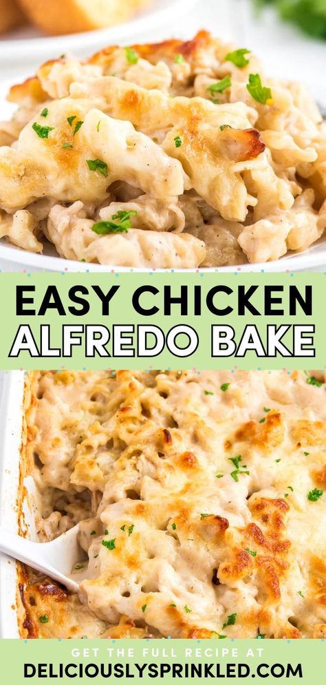 A comfort food idea in one pot! Made with rotini pasta and shredded chicken in a seasoned alfredo sauce and plenty of cheese, this yummy casserole recipe is a family-friendly dinner. Try this Easy Chicken Alfredo Bake! Bake Chicken Alfredo Oven, Oven Baked Chicken Alfredo, Easy Rotisserie Chicken Meals, Easy Chicken Alfredo Bake, Baked Alfredo, Baked Chicken Alfredo, Rotini Pasta Recipes, Chicken Bakes, Easy Chicken Alfredo