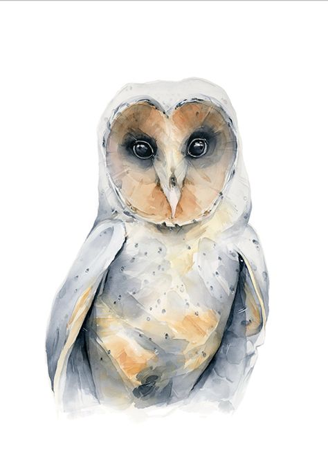 Polina Bright Birds, Pollina Bright, Bright Room Decor, Barn Owl Art, Polina Bright, Bird Watercolor Art, Bright Room, Watercolor Fine Art, Owl Watercolor