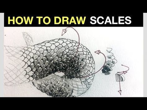 How to draw scales | Pen & Ink Texture Tips Snake Scales Drawing Tutorial, How To Draw Scales, Draw Scales, Ink Texture, Pen Ink Drawing, Snake Drawing, Scale Tattoo, Scale Drawing, Snake Art