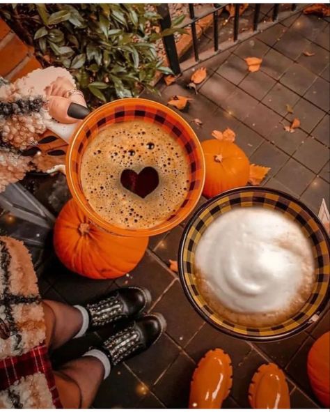 Pumpkin Spice Drinks, Spiced Drinks, Fall Picnic, Fall Mood Board, Pumpkin Spice Syrup, Autumn Magic, Pumpkin Spice Season, Fall Inspo, Fall Feels